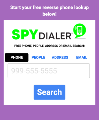 Schermata del campo di ricerca del browser web Chrome SpyDialer
